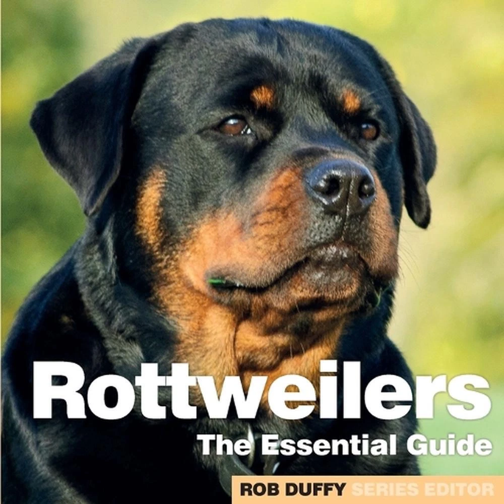 English Rottie English Rottweiler