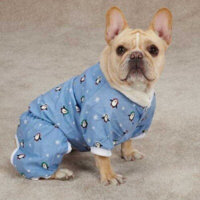 Casual Canine Blizzard Buddies Pajamas, One Piece Penguin Dog