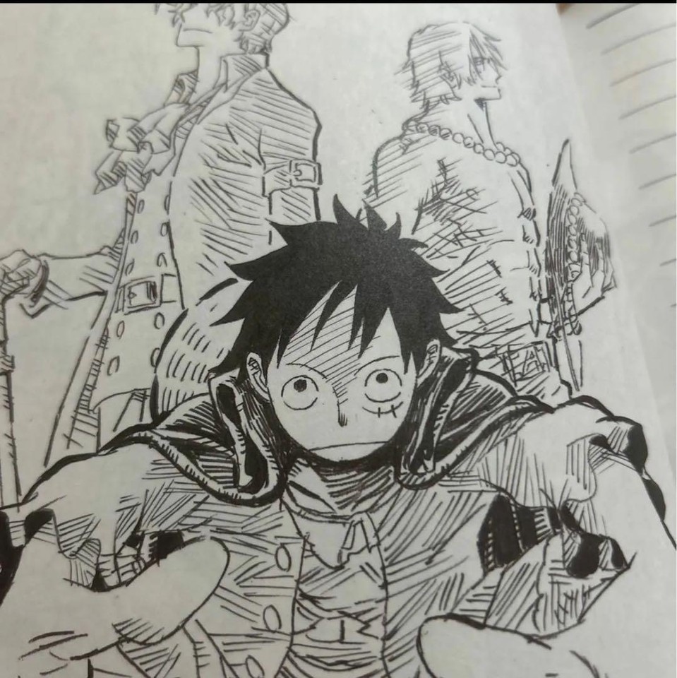 One Piece Novelty illustration collection with original QO90MR