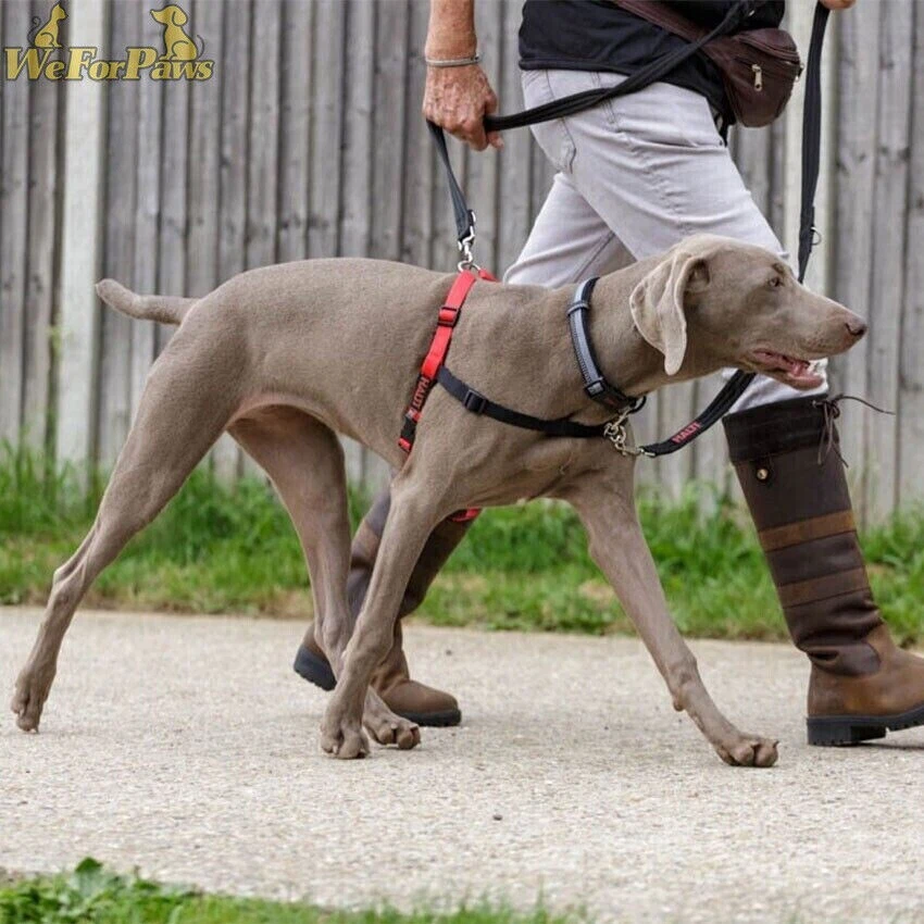 Arnés para perros Halti Control negro/rojo talla M (22,83" - 33,85") ajustable Foto 2 de 4