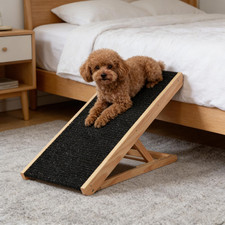 Elevated Dog Ramp with 4 Gear Height Adjustment Foldable Non Slip Design