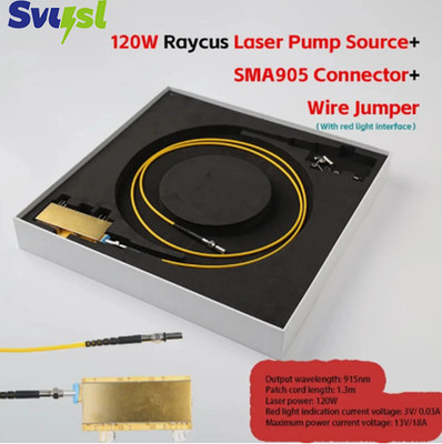 Raycus 120W Laser Source Parts Full Power Pump Source