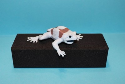 Baumsteiger Frosch  Planet Wow De Agostini Frogs & Co Frosch Frog  Gummitier