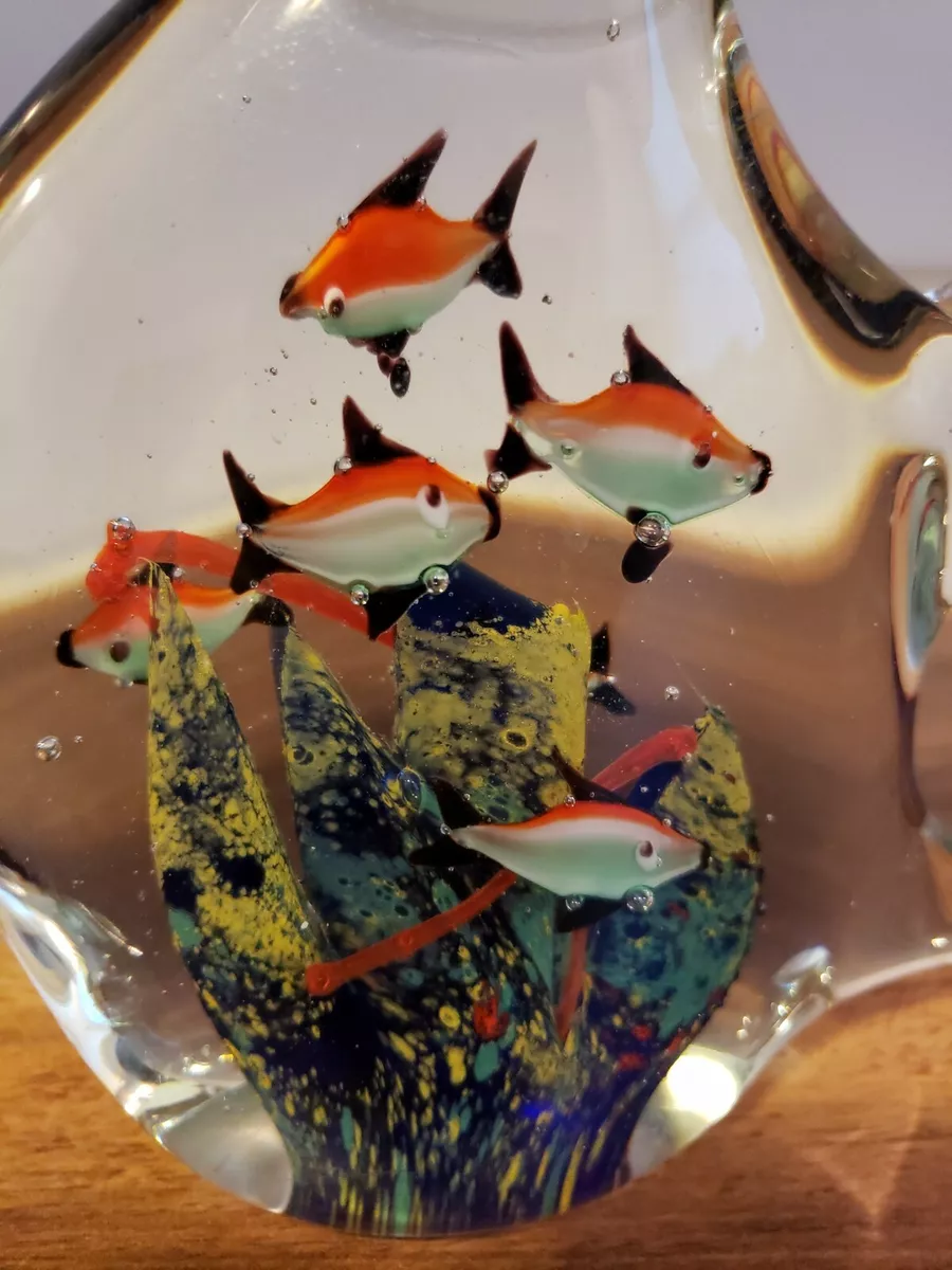 Little sales fish aquarium