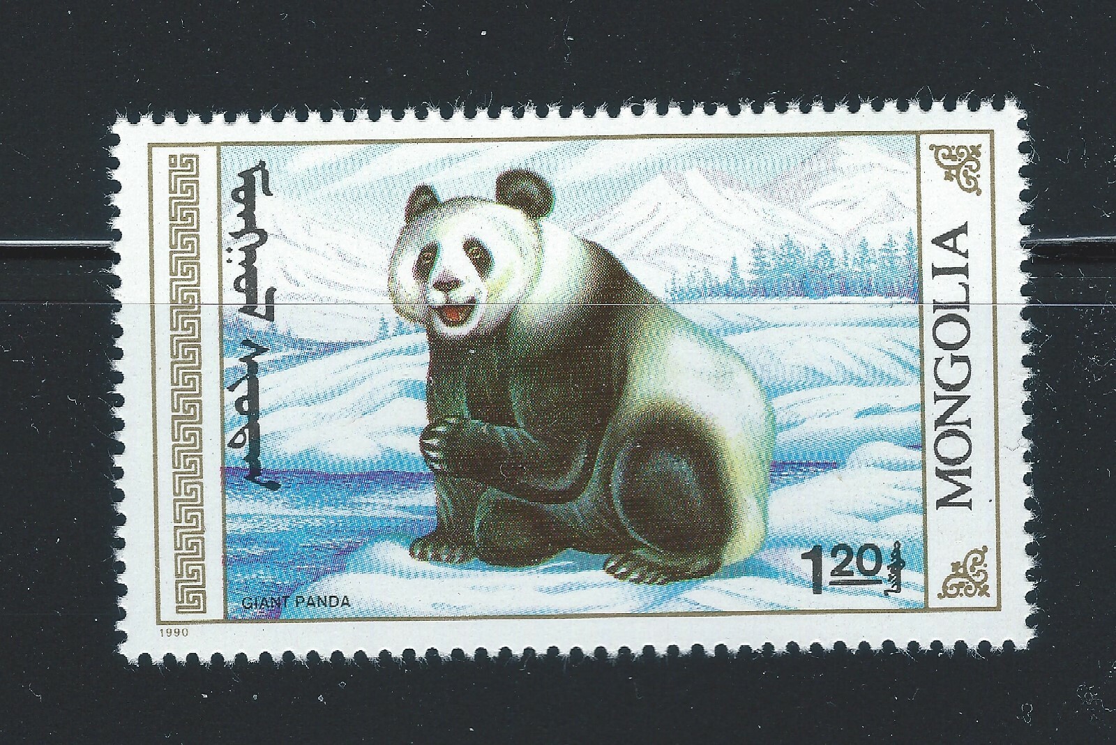 Picture 9 of 11