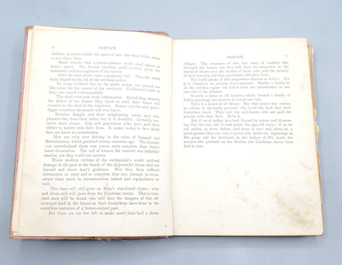 Italy’s Great Horror Earthquake & Tidal Wave Eruption 1909 Antique Disaster Book - Picture 9 of 24