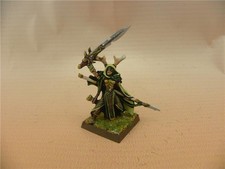 Warhammer 40K painted Wood Elf Lord with Sword and Spear