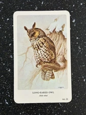 General Cigar Co Northern Birds by Fenwick Lansdowne Card 21 Long-Eared Owl