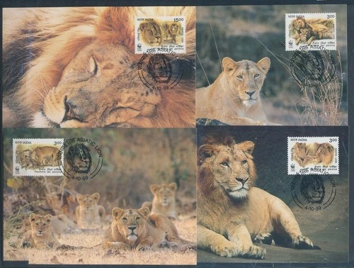 XE60132 India 1999 lion animals wildlife maxicards used