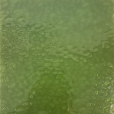 ASPARAGUS Vintage Ripple Pattern - Stained Glass Sheet for Mosaic  Craft