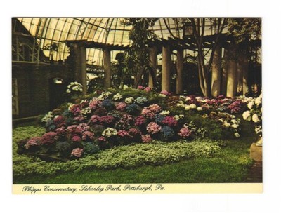 Phipps Conservatory Schenley Park Pittsburgh PA Spring Flower Show VTG postcard