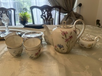 Vintage Tea Set Franconia Krautheim Bavaria Selb Meadow Flowers 21 Pieces Mint