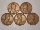 1950,50D,51D,53,53D Lincoln Wheat Cents  (VF-XF,  Lot of 5)