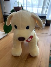 Mellisa And Doug Dog Ranger