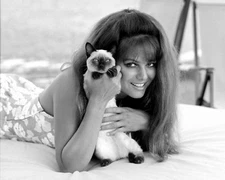 ACTRESS CLAUDIA CARDINALE - 8X10 PUBLICITY PHOTO (FB-597)