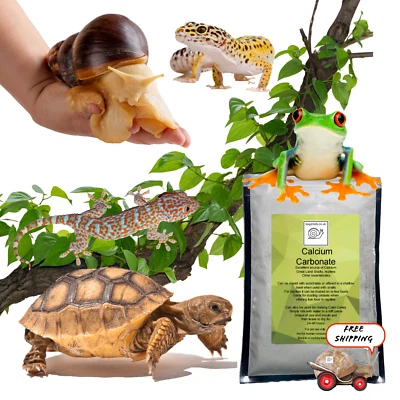BUGZNBITS Calcium Carbonate, Calci Powder, 1KG Giant African Land snail, Tortoise, Gecko