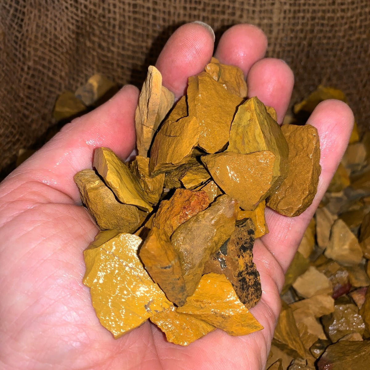 500 Carat Lots of (SMALL) Yellow Jasper Rough - Plus a FREE