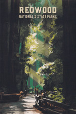 Redwood National Park California Art Poster Postcard