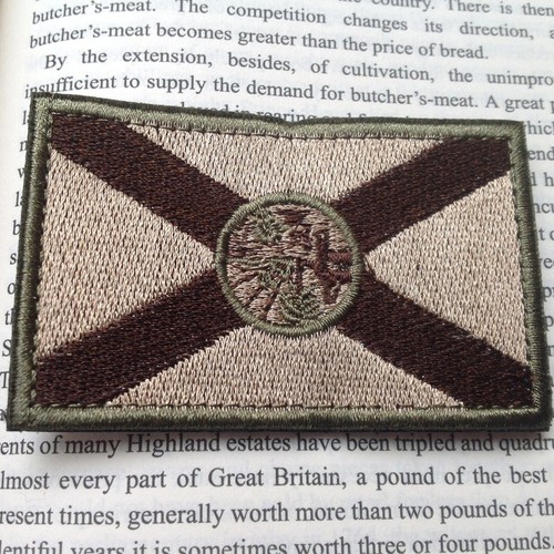 PARCHE DE GANCHO 3D BANDERA DEL ESTADO DE FL EE. UU. EJÉRCITO TÁCTICO MILITAR de Florida - Imagen 4 de 5