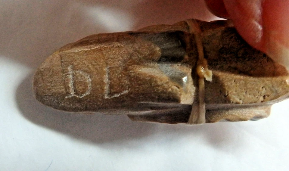 Fetiche de pájaro de mármol de piedra indígena Zuni nativo americano de Leekya Foto 4 de 4