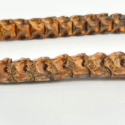 Real Snake Vertebrae Trade Beads Nigeria MATTER COLLECTION