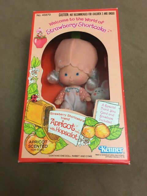 Vintage 1980 Kenner 43370 Strawberry 