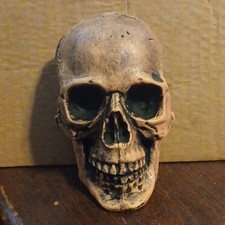 Pink Skull Figurine Sculpture statue Made in USA 2022