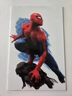 Amazing Spider-Man #26 - Rafael Grassetti Virgin Variant 2023 NYCC  - Ltd 1000