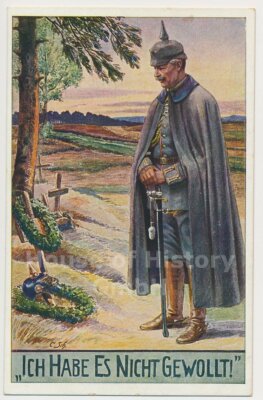 117732 Postcard: ''I Didn't Want It!'', publisher ''Deutsche Wacht'' Hamburg
