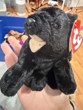 Ty Beanie Baby Cinders The Bear 6th Generation Hang Tag 2000