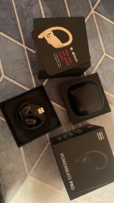 Beats by Dr. Dre - Powerbeats Pro Totally Wireless Earphones A2047