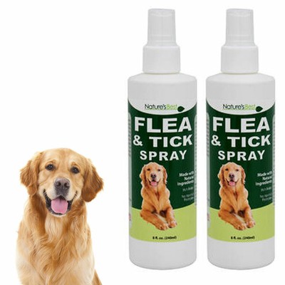 best natural flea tick prevention dogs