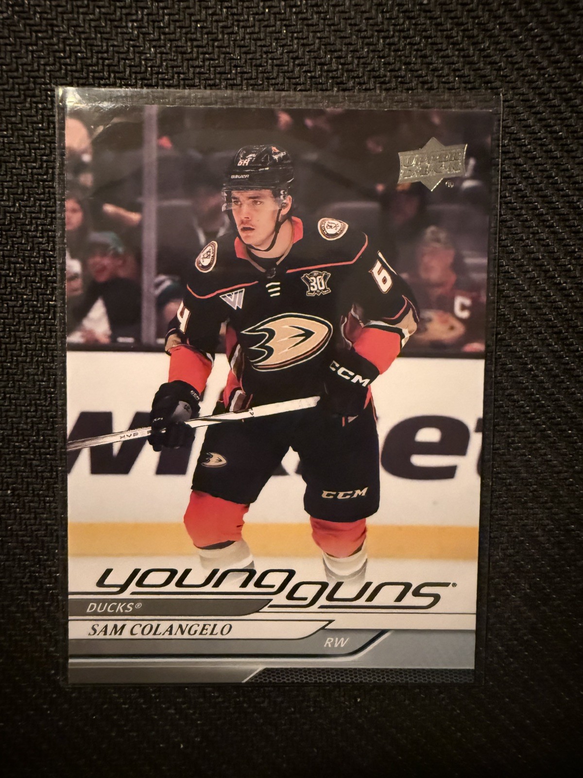 2024-25 Upper Deck Series 1 - Young Guns Sam Colangelo #240 (RC)