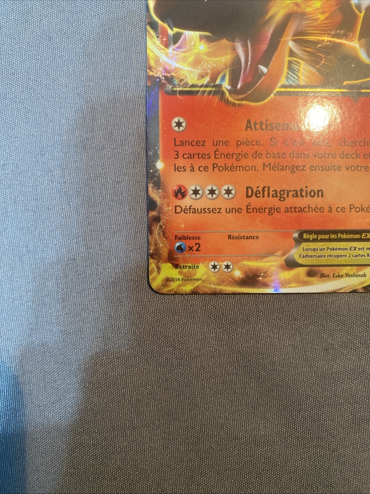 Bild 13 von 16