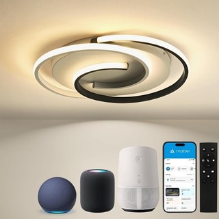 LED Ceiling Light Remote Lamp 32W Modern Living Room Matter Compatible Home Kit