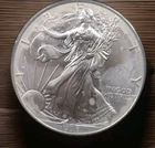 1996 SILVER EAGLE - 1oz .999 Pure - RARE BUT UGLY, IT'S LATE, WADDA GONNA DO?
