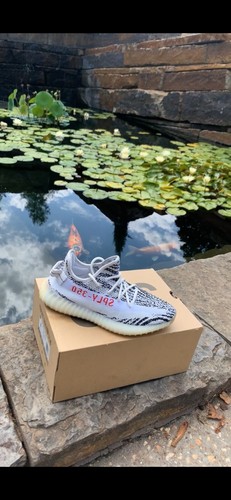 yeezy zebra size 8