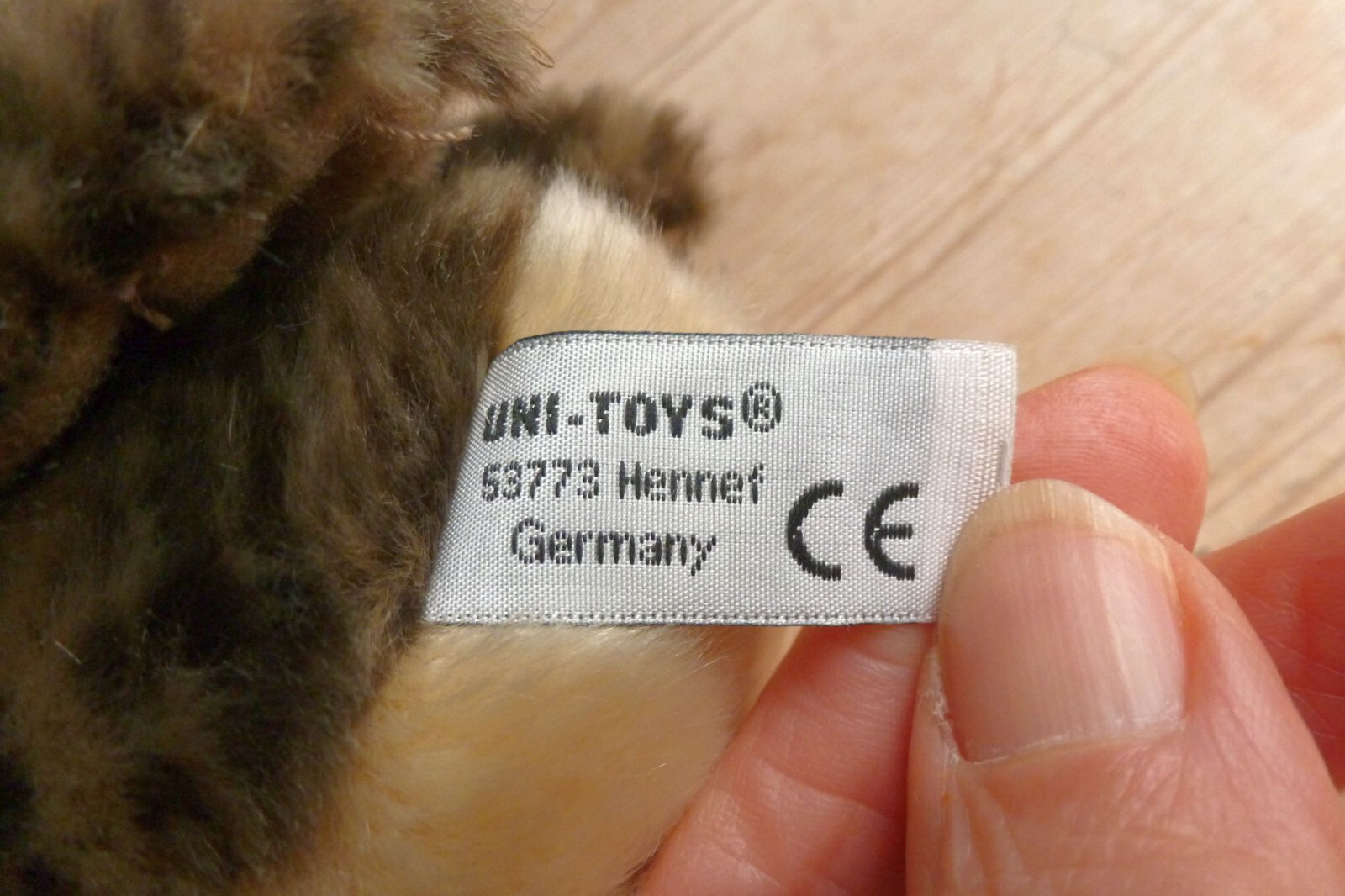 Bild 8 von 12