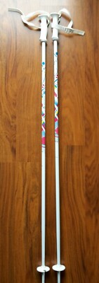 Skistock / TECNO Pro / Farbe: weiß / Multicolor Länge 110 cm
