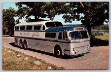 Vintage Greyhound Scenicruiser Bus Postcard Plastichrome Florida 1950s AA275
