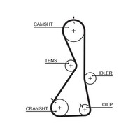 Gates Zahnriemen 5481XS FüR Mitsubishi