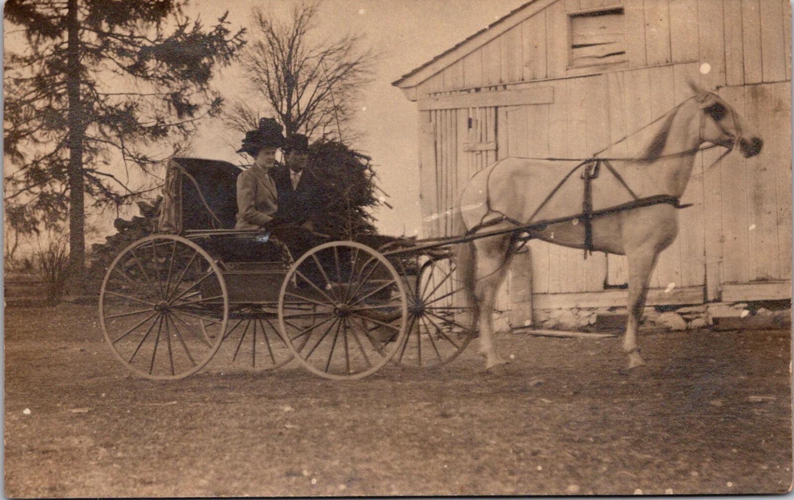 Man & Woman in Horse-Drawn Carriage c.1904-1920s Vintage RPPC Postcard     24047