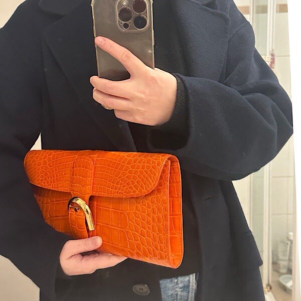 $18150 DELVAUX BRILLIANT POCHETTE ALLIGATOR PAPRIKA BAG Clutch | eBay