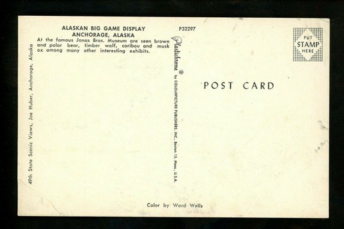 Animal postcard Bear Alaskan Big Game Display Anchorage, Alaska AK hunting - Picture 2 of 2