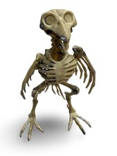 Skeleton Bird Halloween Decoration Plastic Bone Crow Raven Spooky Decor