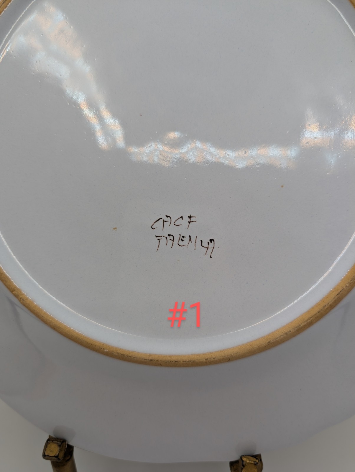 Picture 4 of 12