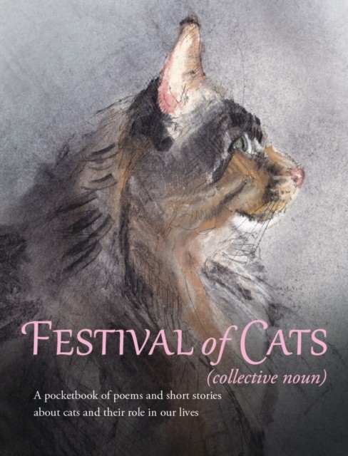 Festival of Cats by Amaris Chase (Paperback Book)