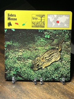 Zebra Mouse, 1976 Editions Recontre 4 3/4'' x 4 3/4'' Card