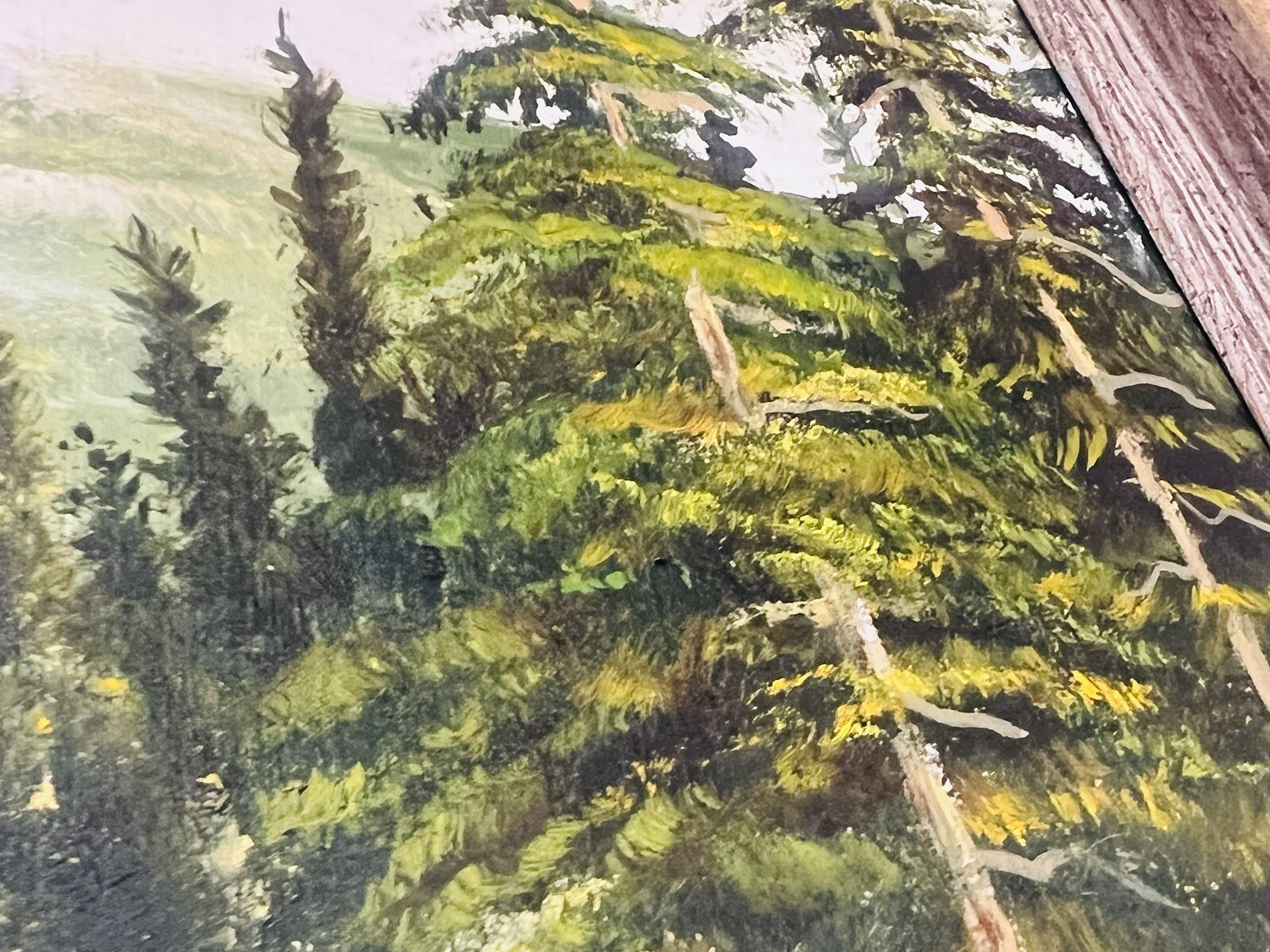 Picture 14 of 24
