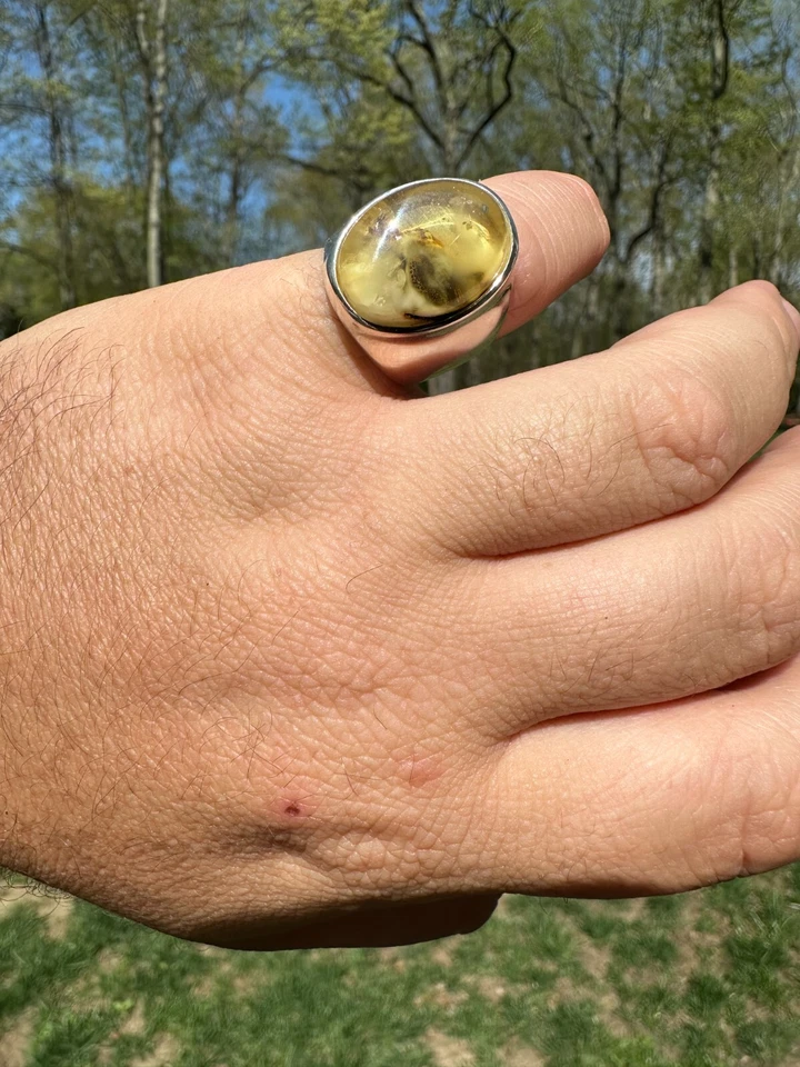 Anillo de sello grande de plata esterlina 925 sólida real de piedra ámbar báltico genuino para hombre Foto 4 de 4